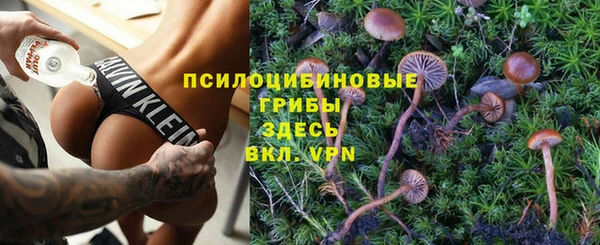 МДПВ Касимов