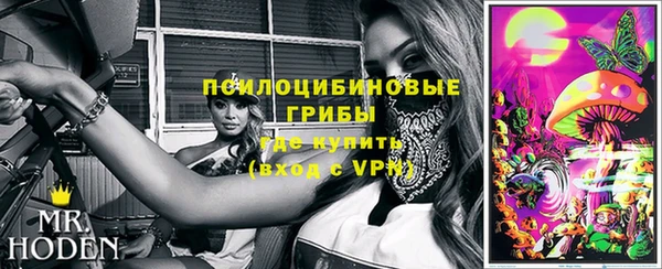 МДПВ Касимов
