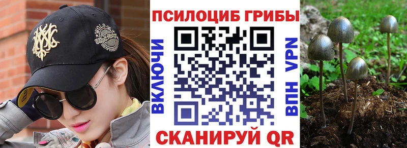 Купить где  Избербаш  Псилоцибиновые грибы GOLDEN TEACHER 